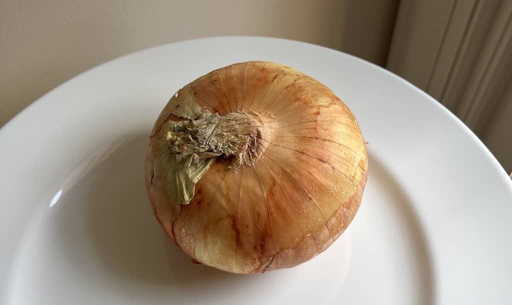 A Vidalia onion that's been stored for almost 90 days in refrigerator veggie bin.