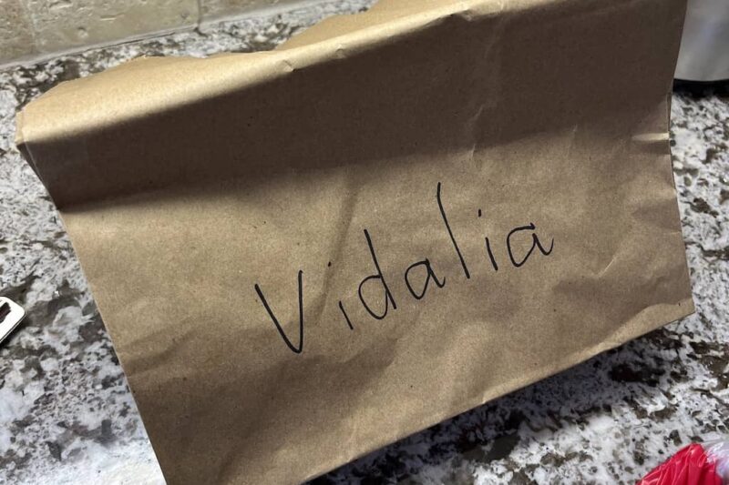 Vidalia onion storage sack